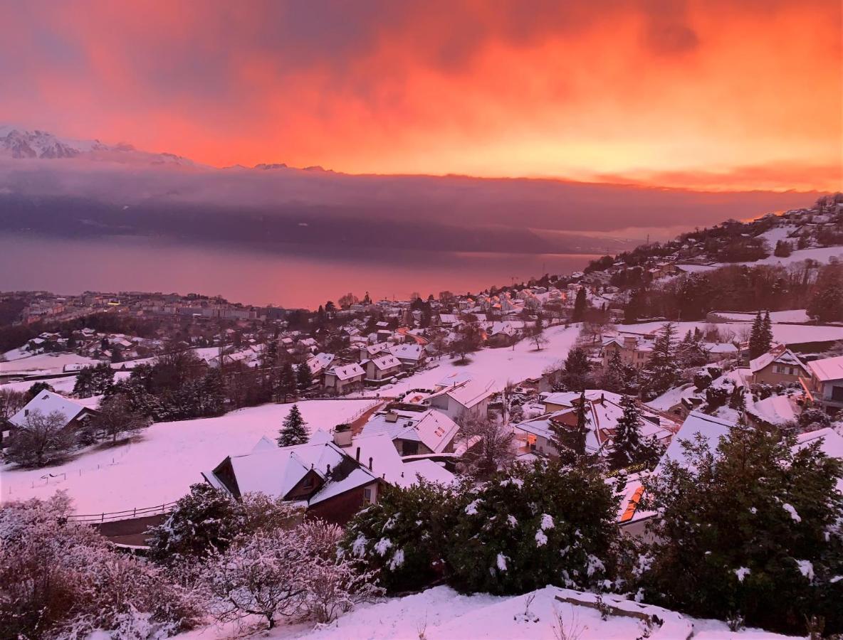 Appartement Moderne Avec Vue Panoramique A Jongny Proche De Montreux Экстерьер фото