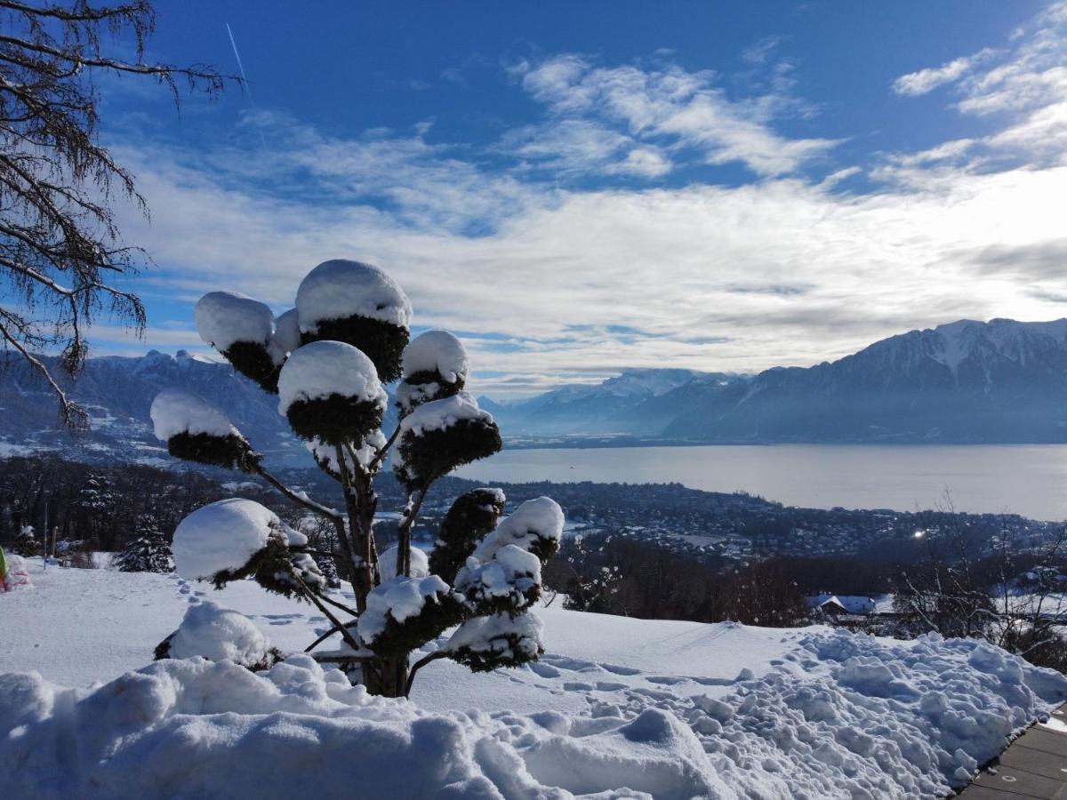 Appartement Moderne Avec Vue Panoramique A Jongny Proche De Montreux Экстерьер фото