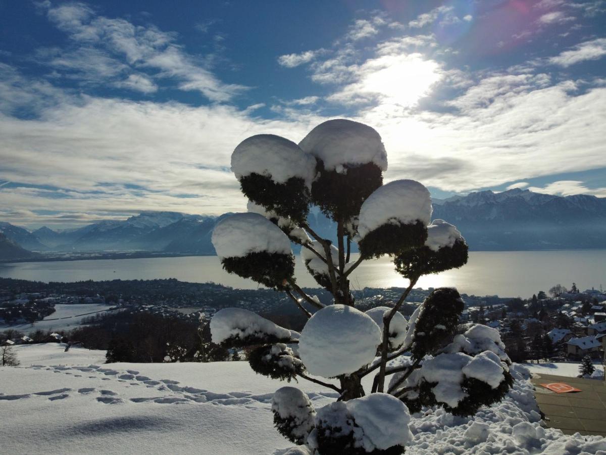 Appartement Moderne Avec Vue Panoramique A Jongny Proche De Montreux Экстерьер фото