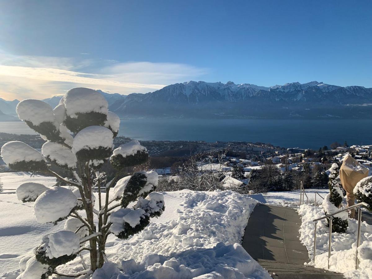 Appartement Moderne Avec Vue Panoramique A Jongny Proche De Montreux Экстерьер фото